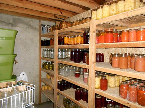 canning shelves in basement - REAL ESTATE AUCTION-25 ACRES OFFERED IN 2 TRACTS IN NE ALLEN COUNTY