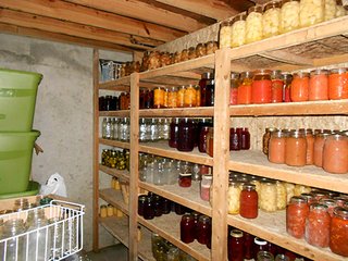 canning shelves in basement - REAL ESTATE AUCTION-25 ACRES OFFERED IN 2 TRACTS IN NE ALLEN COUNTY
