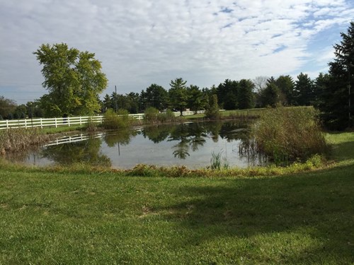 Property photo 14 - REAL ESTATE AUCTION - 4.3 ACRES IN ALLEN COUNTY