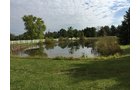 Property photo 14 - REAL ESTATE AUCTION - 4.3 ACRES IN ALLEN COUNTY
