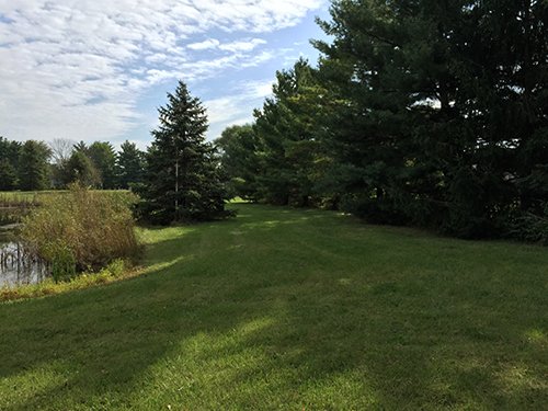 Property photo 13 - REAL ESTATE AUCTION - 4.3 ACRES IN ALLEN COUNTY
