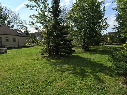 Property photo 3 - REAL ESTATE AUCTION - 4.3 ACRES IN ALLEN COUNTY