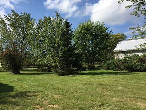 Property photo 10 - REAL ESTATE AUCTION - 4.3 ACRES IN ALLEN COUNTY