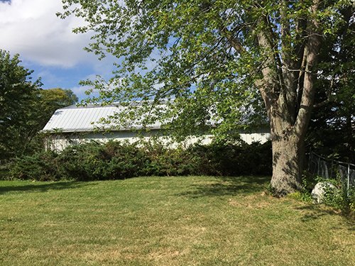 Property photo 9 - REAL ESTATE AUCTION - 4.3 ACRES IN ALLEN COUNTY