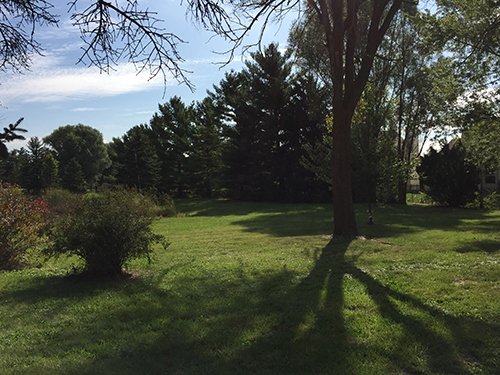 Property photo 8 - REAL ESTATE AUCTION - 4.3 ACRES IN ALLEN COUNTY