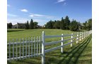 Property photo 7 - REAL ESTATE AUCTION - 4.3 ACRES IN ALLEN COUNTY