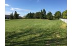 Property photo 6 - REAL ESTATE AUCTION - 4.3 ACRES IN ALLEN COUNTY