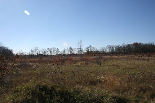 Property photo 1 - REAL ESTATE AUCTION - SEALED BID OF 18+/- ACRES IN ALLEN COUNTY