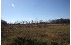 Property photo 1 - REAL ESTATE AUCTION - SEALED BID OF 18+/- ACRES IN ALLEN COUNTY