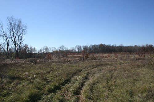 Property photo 2 - REAL ESTATE AUCTION - SEALED BID OF 18+/- ACRES IN ALLEN COUNTY