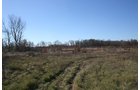 Property photo 2 - REAL ESTATE AUCTION - SEALED BID OF 18+/- ACRES IN ALLEN COUNTY