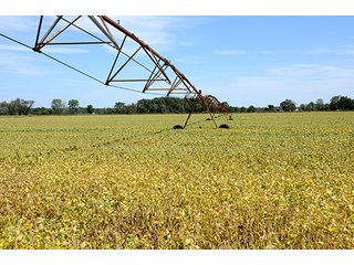Property photo 24 - REAL ESTATE AUCTION - 230+/- ACRES IN 2 TRACTS IN STARKE COUNTY