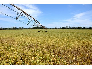 Property photo 25 - REAL ESTATE AUCTION - 230+/- ACRES IN 2 TRACTS IN STARKE COUNTY