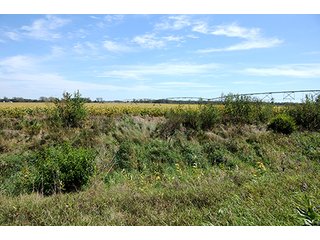 Property photo 9 - REAL ESTATE AUCTION - 230+/- ACRES IN 2 TRACTS IN STARKE COUNTY
