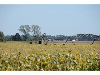 Property photo 1 - REAL ESTATE AUCTION - 230+/- ACRES IN 2 TRACTS IN STARKE COUNTY