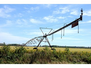 Property photo 11 - REAL ESTATE AUCTION - 230+/- ACRES IN 2 TRACTS IN STARKE COUNTY