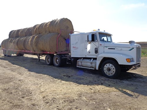 Property photo 2 - EQUIPMENT AUCTION - WILDER BUFFALO RANCH IN CORSON COUNTY
