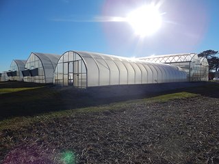 Property photo 18 - OHIO LAND AUCTION - 154+/- ACRES IN RICHLAND COUNTY