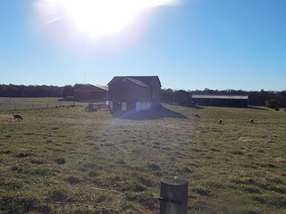 Property photo 82 - OHIO LAND AUCTION - 154+/- ACRES IN RICHLAND COUNTY