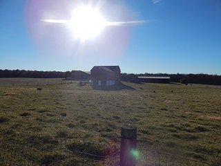 Property photo 83 - OHIO LAND AUCTION - 154+/- ACRES IN RICHLAND COUNTY