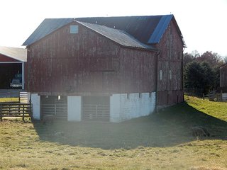 Property photo 84 - OHIO LAND AUCTION - 154+/- ACRES IN RICHLAND COUNTY