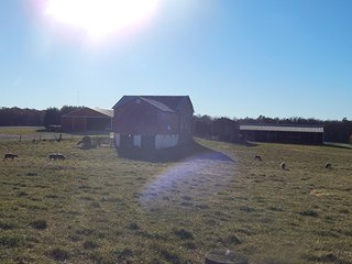 Property photo 85 - OHIO LAND AUCTION - 154+/- ACRES IN RICHLAND COUNTY
