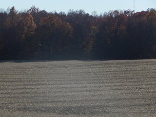 Property photo 109 - OHIO LAND AUCTION - 154+/- ACRES IN RICHLAND COUNTY