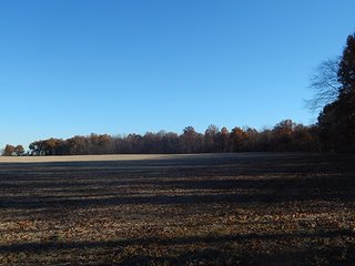 Property photo 113 - OHIO LAND AUCTION - 154+/- ACRES IN RICHLAND COUNTY