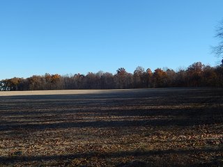 Property photo 114 - OHIO LAND AUCTION - 154+/- ACRES IN RICHLAND COUNTY