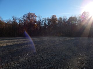 Property photo 118 - OHIO LAND AUCTION - 154+/- ACRES IN RICHLAND COUNTY