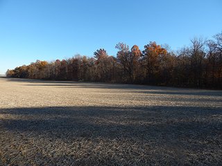Property photo 119 - OHIO LAND AUCTION - 154+/- ACRES IN RICHLAND COUNTY