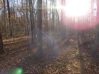 Property photo 120 - OHIO LAND AUCTION - 154+/- ACRES IN RICHLAND COUNTY