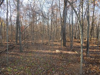 Property photo 121 - OHIO LAND AUCTION - 154+/- ACRES IN RICHLAND COUNTY