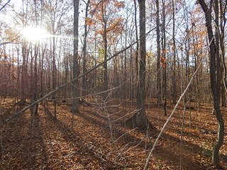 Property photo 124 - OHIO LAND AUCTION - 154+/- ACRES IN RICHLAND COUNTY