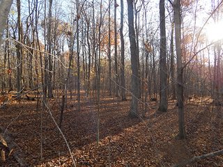 Property photo 125 - OHIO LAND AUCTION - 154+/- ACRES IN RICHLAND COUNTY