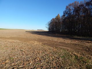 Property photo 126 - OHIO LAND AUCTION - 154+/- ACRES IN RICHLAND COUNTY