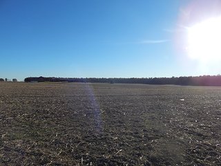 Property photo 129 - OHIO LAND AUCTION - 154+/- ACRES IN RICHLAND COUNTY