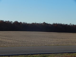 Property photo 131 - OHIO LAND AUCTION - 154+/- ACRES IN RICHLAND COUNTY