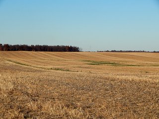 Property photo 132 - OHIO LAND AUCTION - 154+/- ACRES IN RICHLAND COUNTY