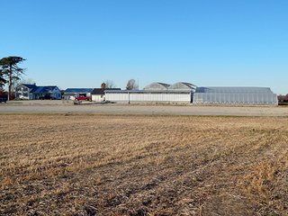 Property photo 51 - OHIO LAND AUCTION - 154+/- ACRES IN RICHLAND COUNTY