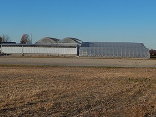 Property photo 53 - OHIO LAND AUCTION - 154+/- ACRES IN RICHLAND COUNTY