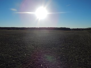Property photo 134 - OHIO LAND AUCTION - 154+/- ACRES IN RICHLAND COUNTY