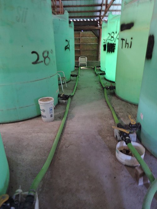 Property photo 31 - JOHN DEERE EQUIPMENT AUCTION IN DELAWARE COUNTY