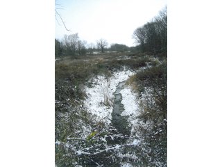 Tract 1 - LAND AUCTION, 94+/- Acres offered in 3 Tracts