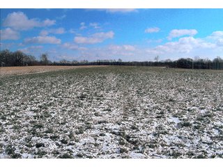 Tract 2 - LAND AUCTION, 94+/- Acres offered in 3 Tracts