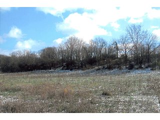 Tract 3 - LAND AUCTION, 94+/- Acres offered in 3 Tracts