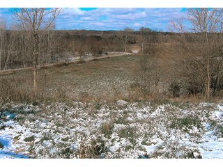 Tract 3 - LAND AUCTION, 94+/- Acres offered in 3 Tracts