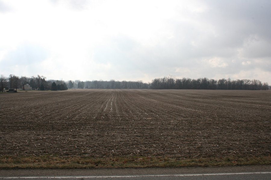 FARMLAND AUCTION, 29+/- Acres offered in 1 Tract