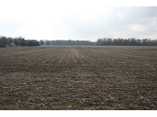 Property photo 1 - FARMLAND AUCTION, 29+/- Acres offered in 1 Tract