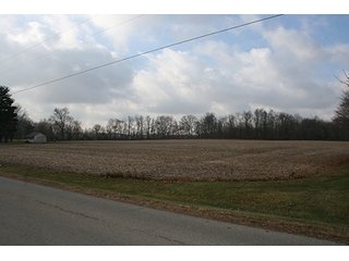 Property photo 5 - FARMLAND AUCTION, 29+/- Acres offered in 1 Tract